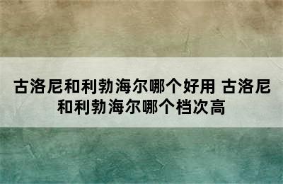 古洛尼和利勃海尔哪个好用 古洛尼和利勃海尔哪个档次高